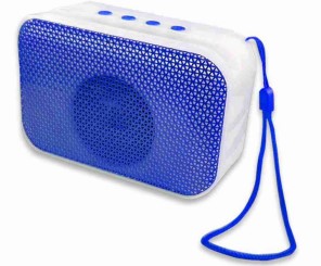 SS Bluetooth Speaker M01