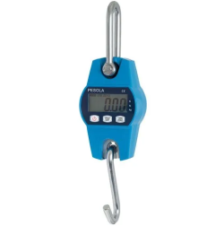 Pesola 300kg Industrial Hanging Scale | Mild Steel, 30g Accuracy