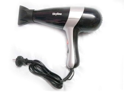 Skyline Professional 2000W Hair Dryer – Salon-Quality Performance at Home