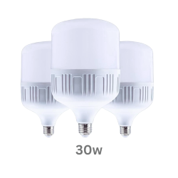 Commercial Bulb GBDL-30W