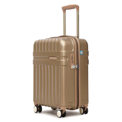 Uppercase Spector Medium Check-In Trolley | Hardsided Spinner Luggage | Black & Brown | 65 cm Suitcase