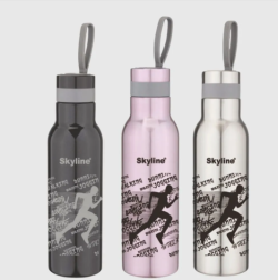 Skyline Double Wall Stainless Steel Water Bottle – 900ml for Temperature Control
