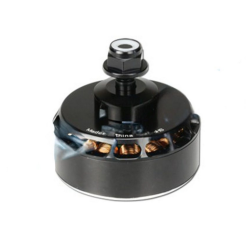 Tarot 5012/300KV Motor TL50P12