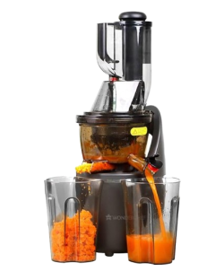 Wonderchef Regalia Full Fruit Cold Press Slow Juicer | 55 Rpm Slow Juicer Retains Higher Nutrients | 240 Watts Powerful Dc Motor | Easy To Clean | 5-Year Motor Warranty