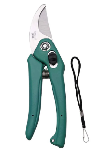 Stainless Steel Garden Scissors