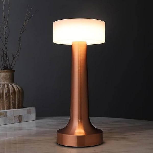 RECHARGEABLE CORDLESS LAMP