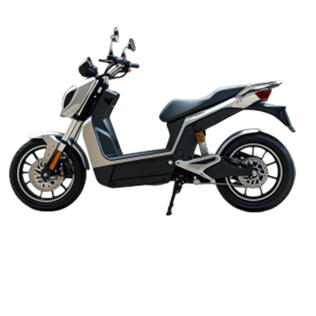 Electric Vehicle